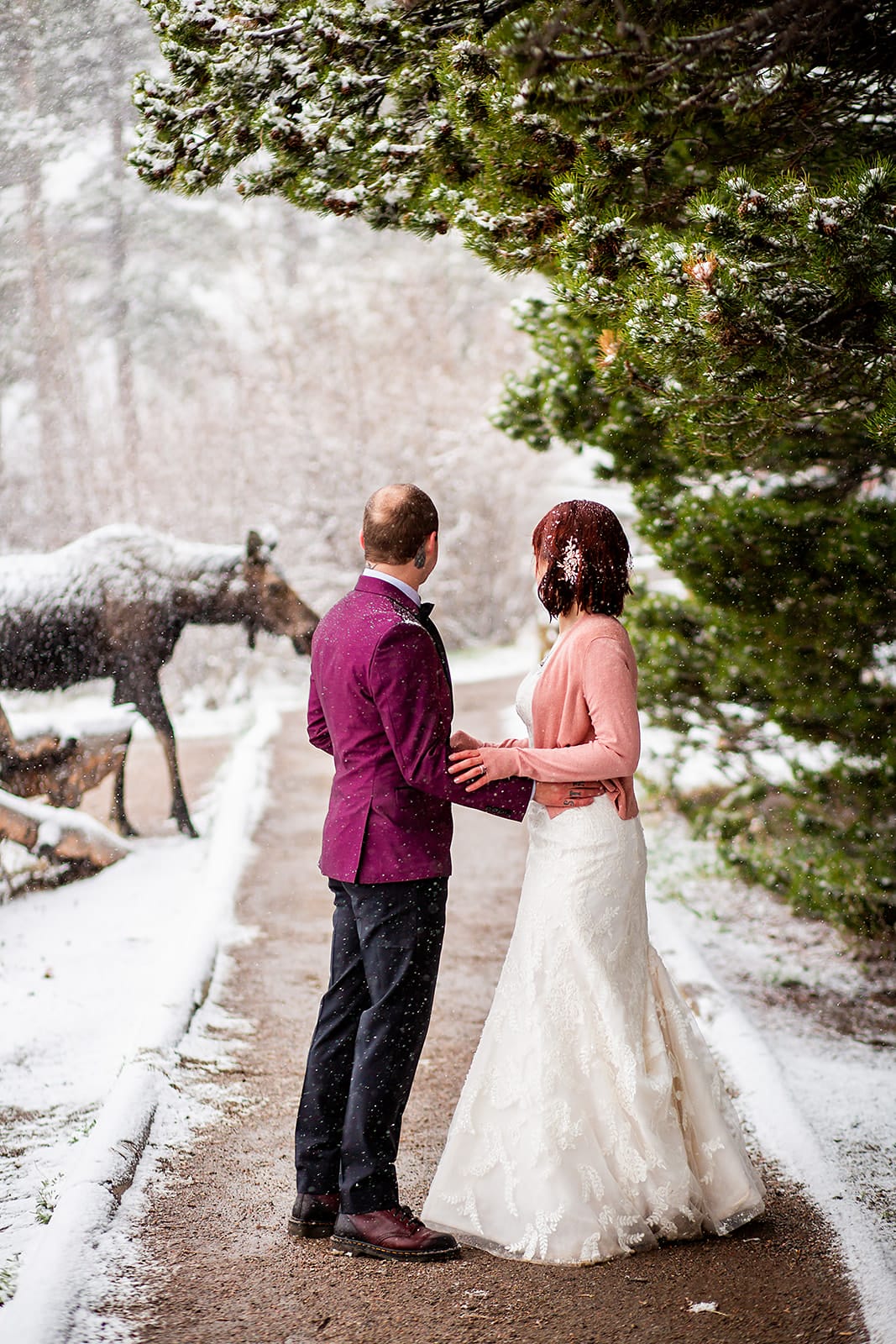 A couple eloping in Rocky Mountain National Park watching a moose walk by Colorado Wedding Photographer